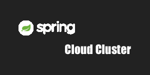 Spring Cloud Cluster